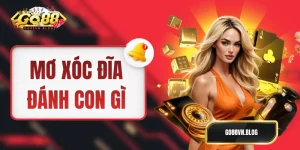 Mơ Xóc Đĩa Đánh Con Gì - Gợi Ý Bộ Số Để Test Nhân Phẩm